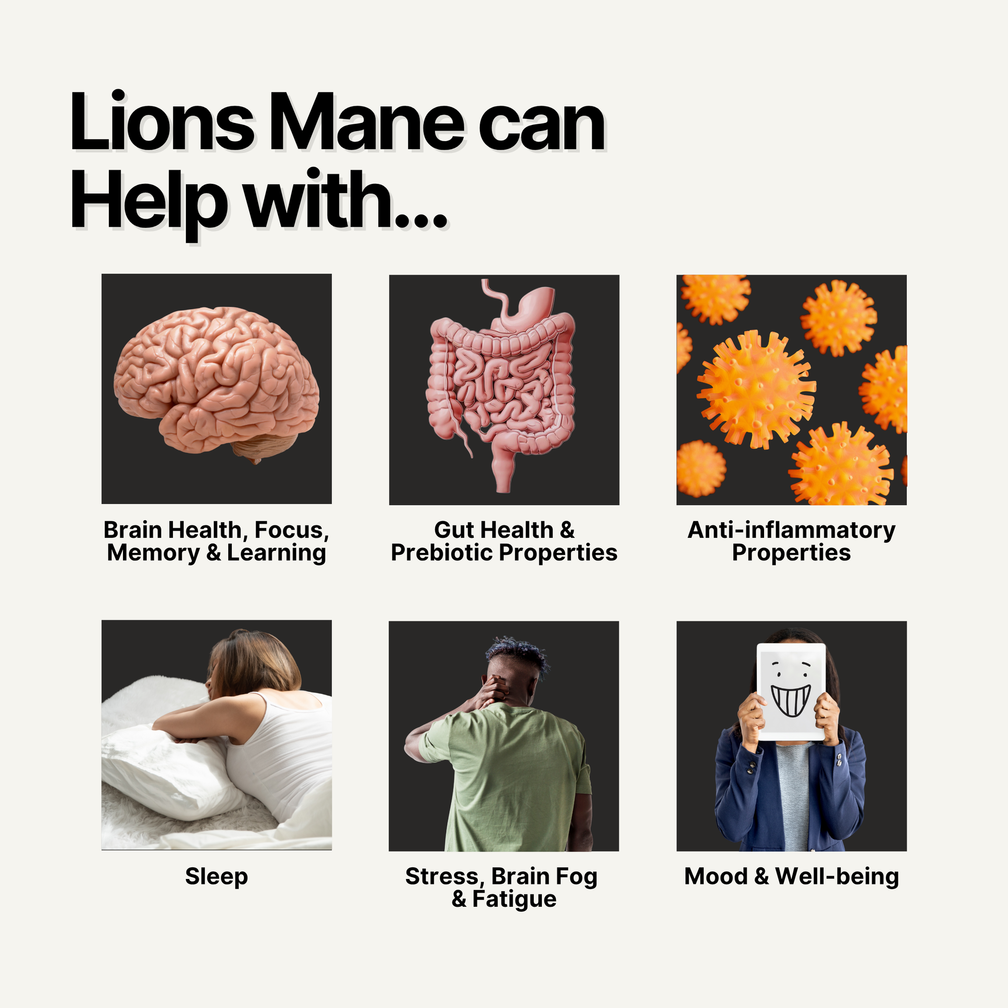 High Strength Lion's Mane + Black Pepper