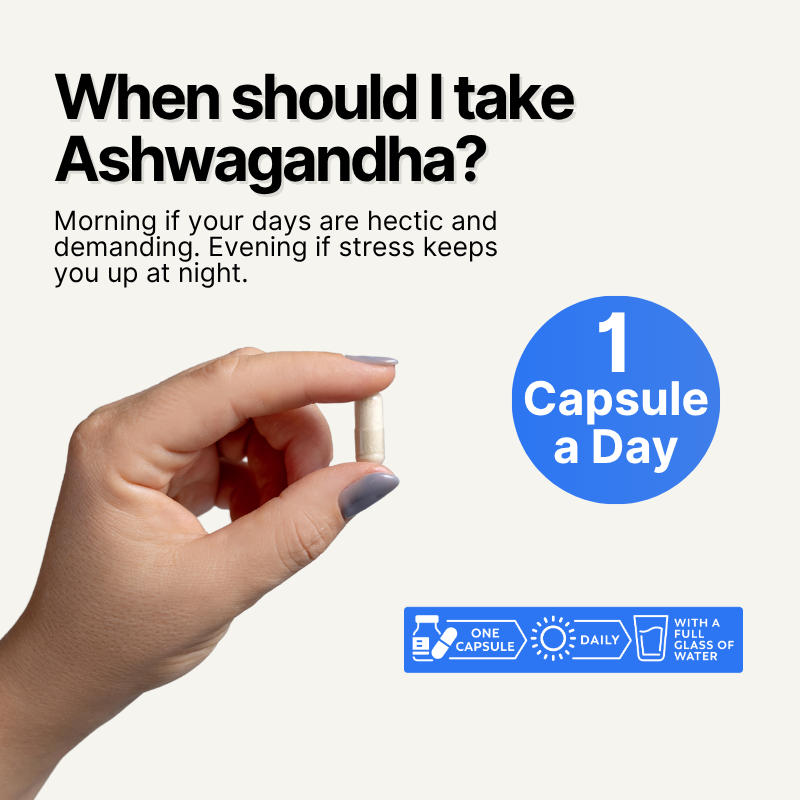 High Strength Ashwagandha + Black Pepper
