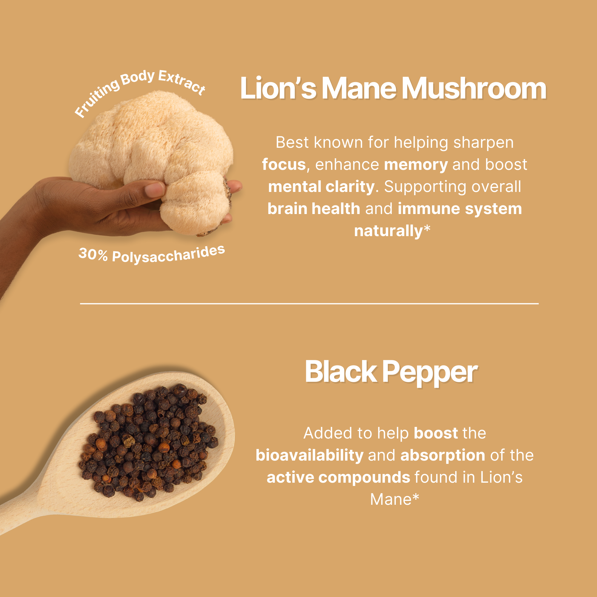 High Strength Lion's Mane + Black Pepper